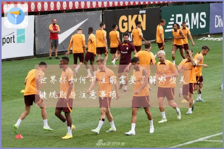 世界杯如何下注前需要了解哪些关键规则与注意事项